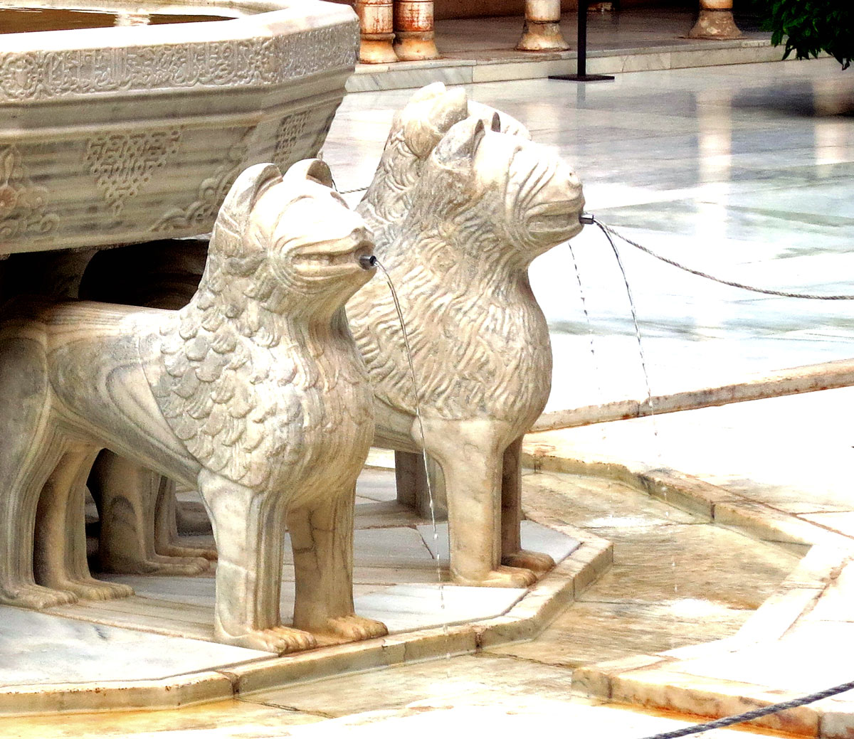 alhambra_-lions-portrait