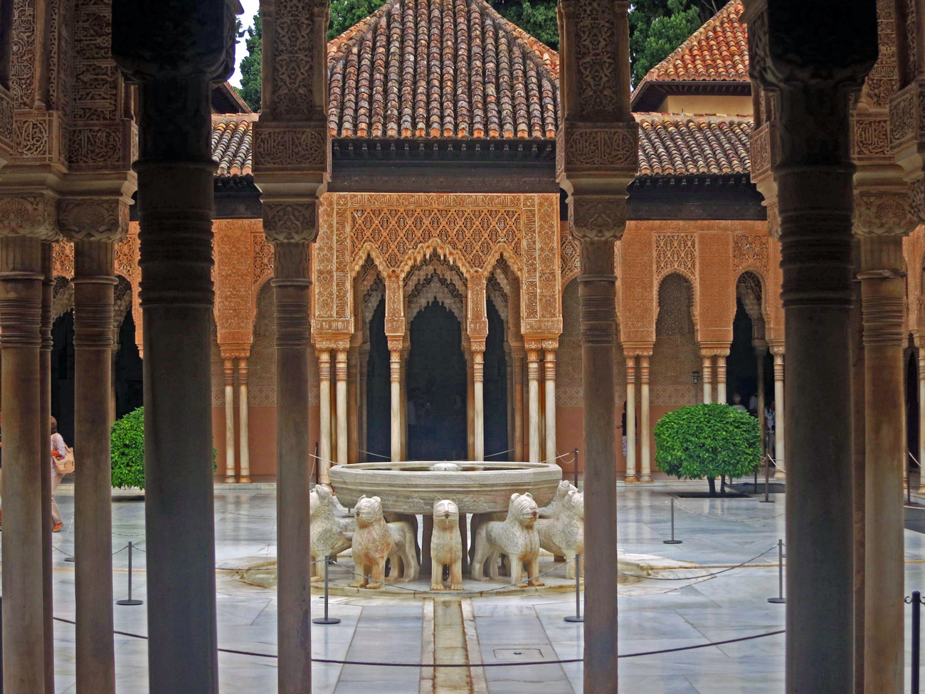 the-lions-are-back-new