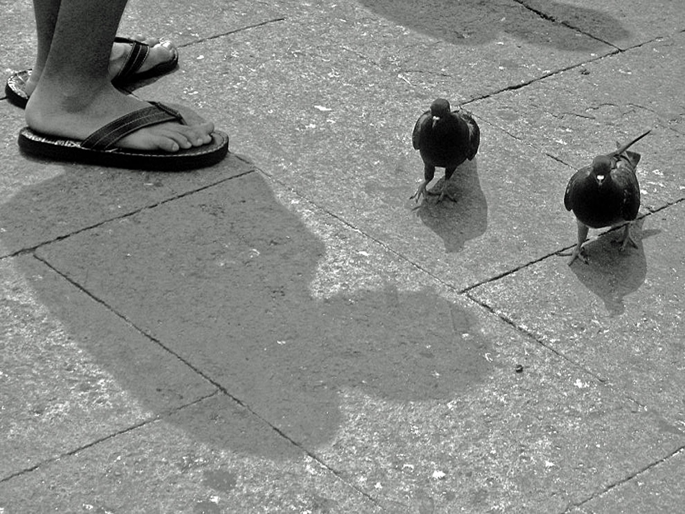 venice_-St.Mark_s-square