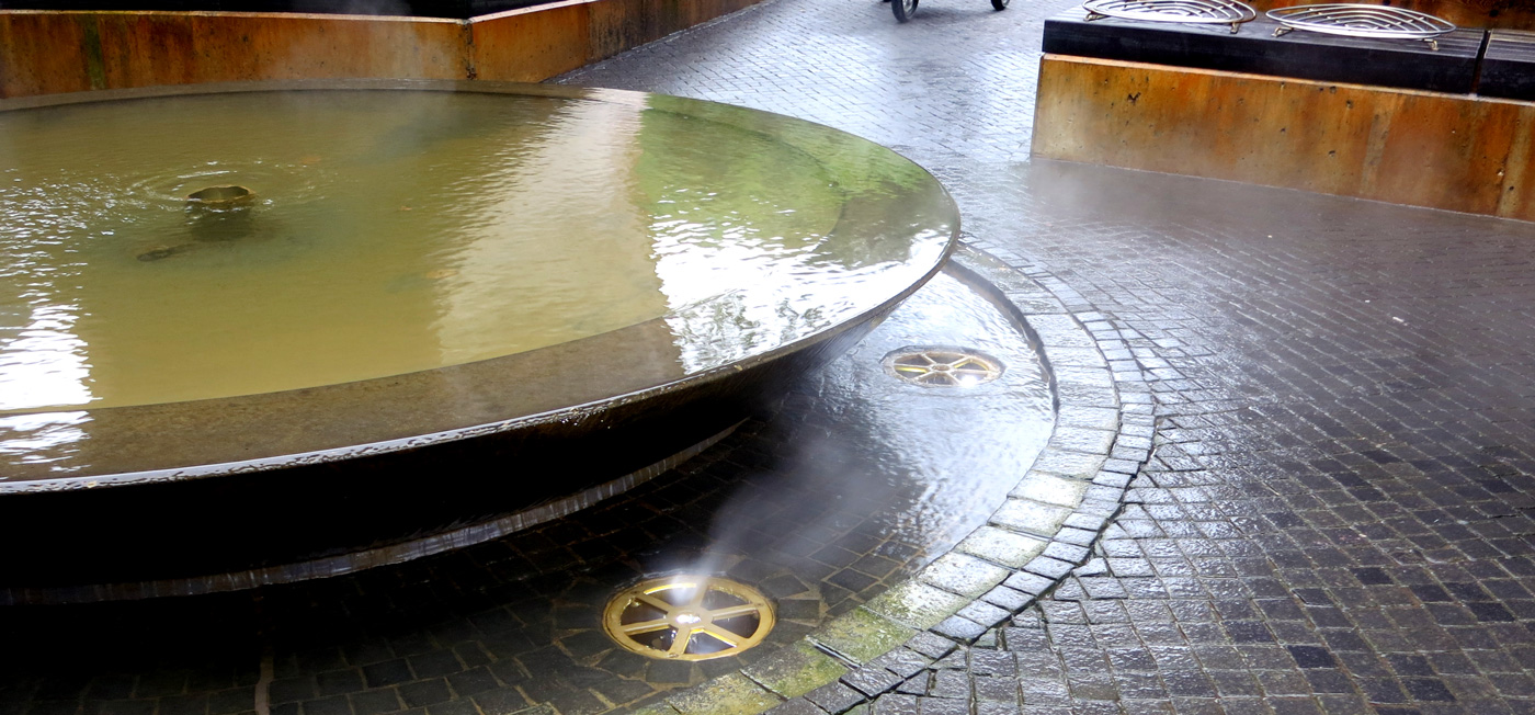 wellness_for_the_bronchi